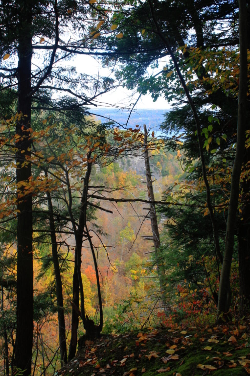 Photo: Seneca Lake in the Distance