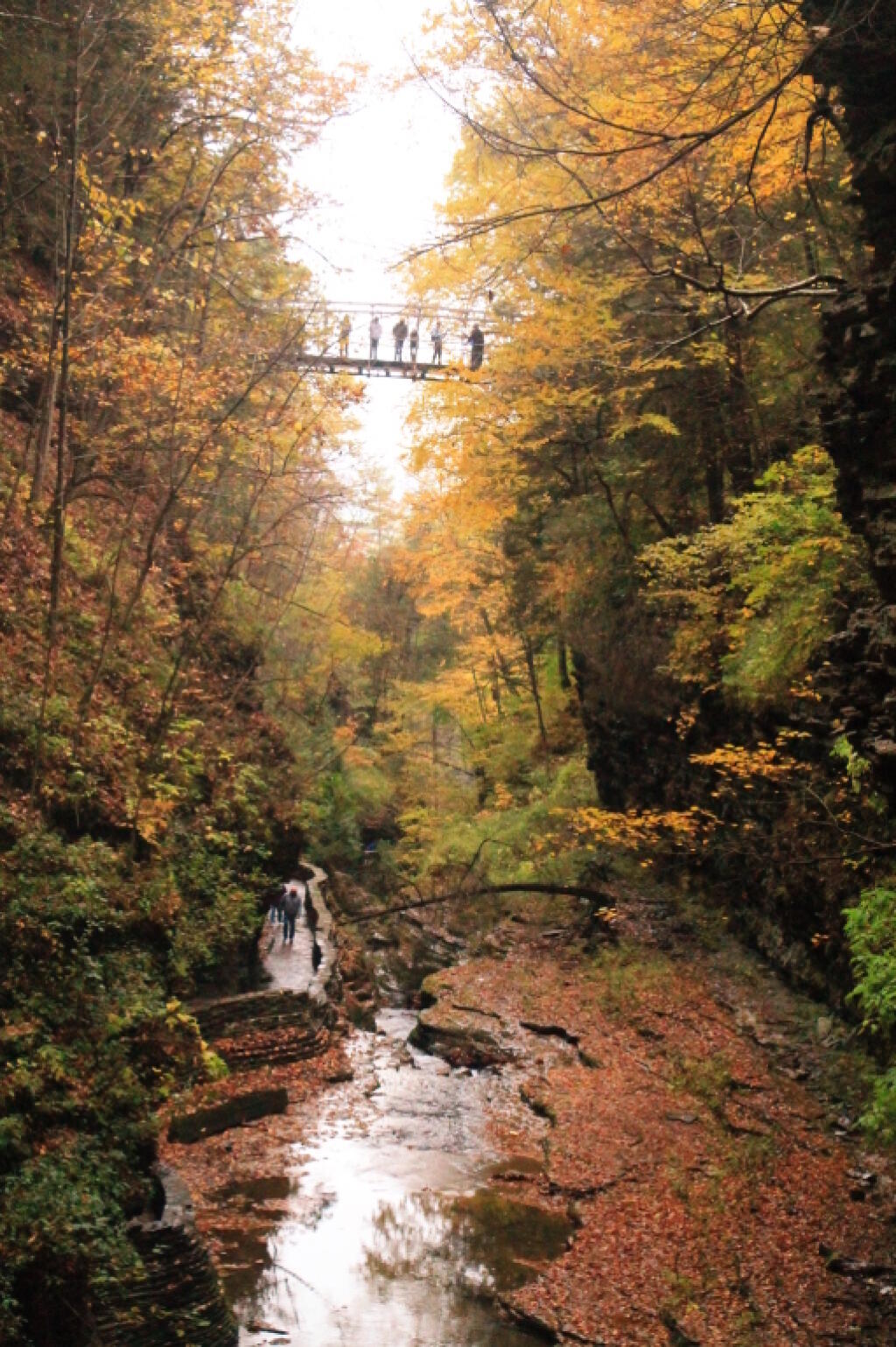 Photo: Suspension Bridge Over Gorge