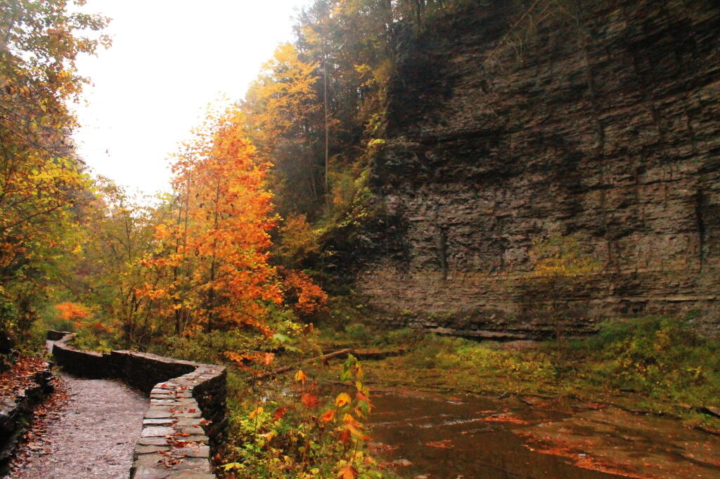 Photo: Cathedral Glen