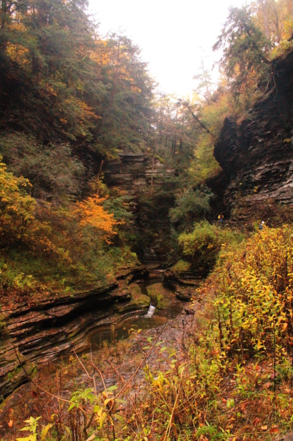 Photo: Mile Glen