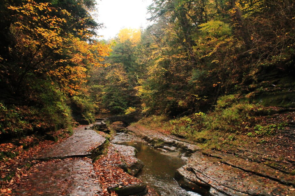 Photo: Quiet Photo: Quiet
