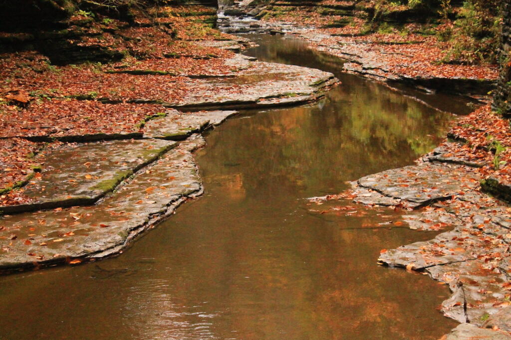 Photo: Reflections
