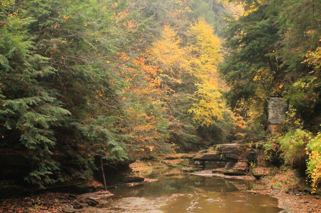 Photo: Upper Portion of Glen