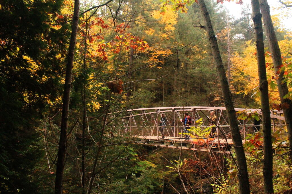 Photo: Suspension Bridge Over Gorge