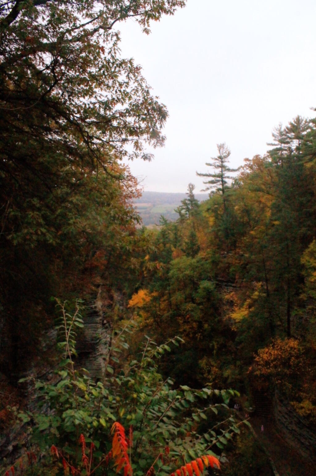 Photo: Looking Out Towards Watkins Glen Photo: Looking Out Towards Watkins Glen