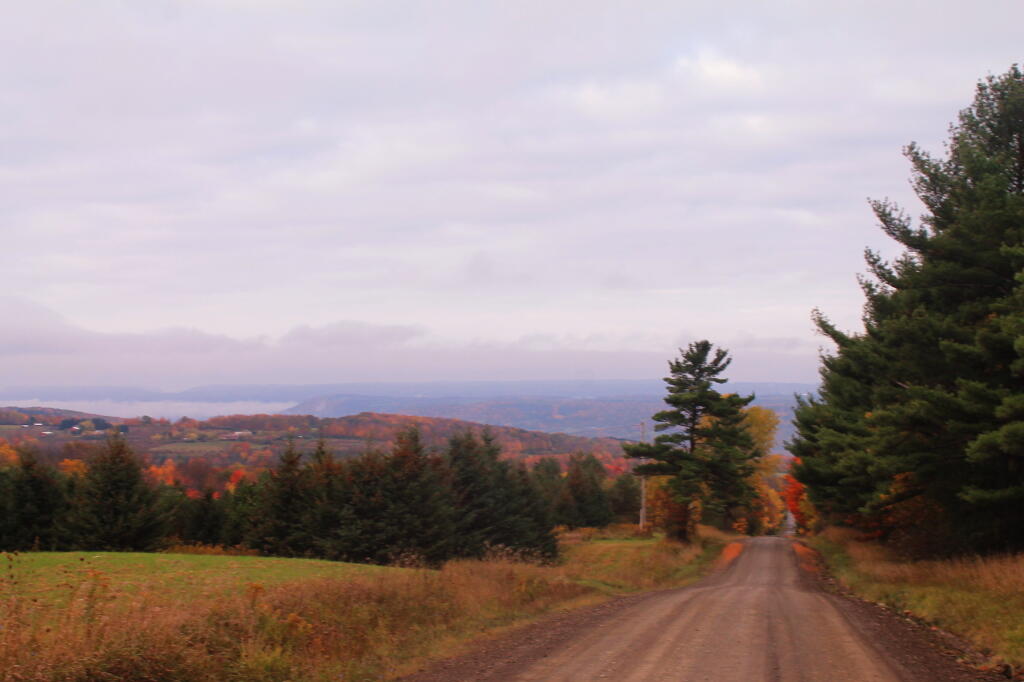 Photo: Cloudy Fall Day on Wollock Road Photo: Cloudy Fall Day on Wollock Road
