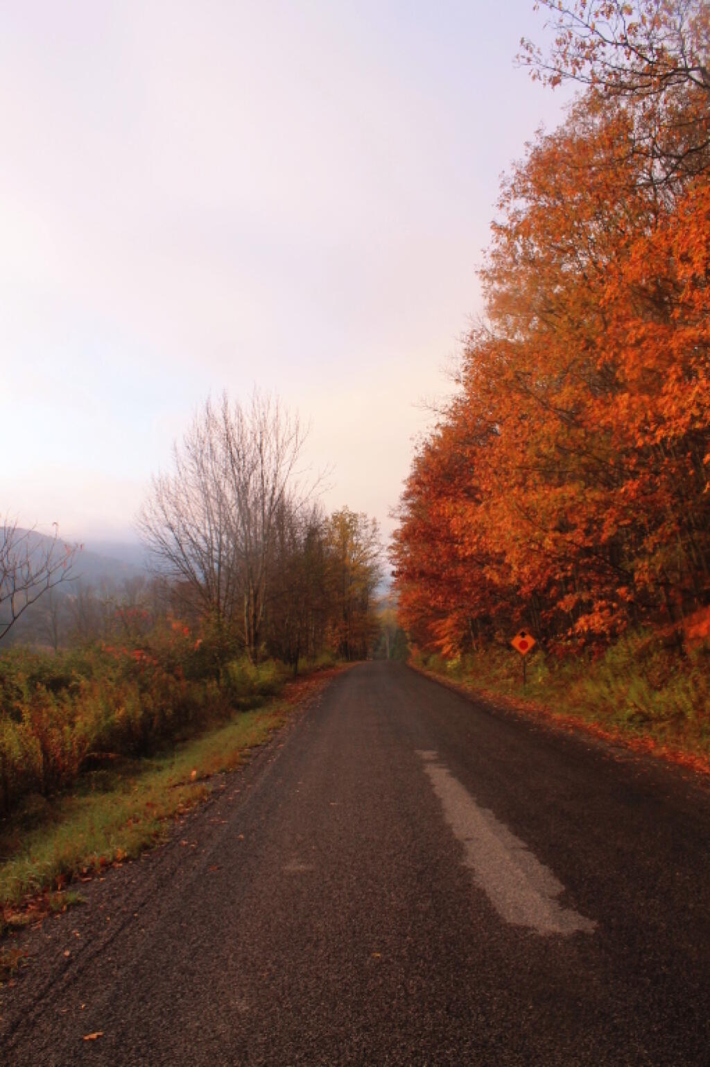 Photo: Back Roads of Cattaraugus County Photo: Back Roads of Cattaraugus County