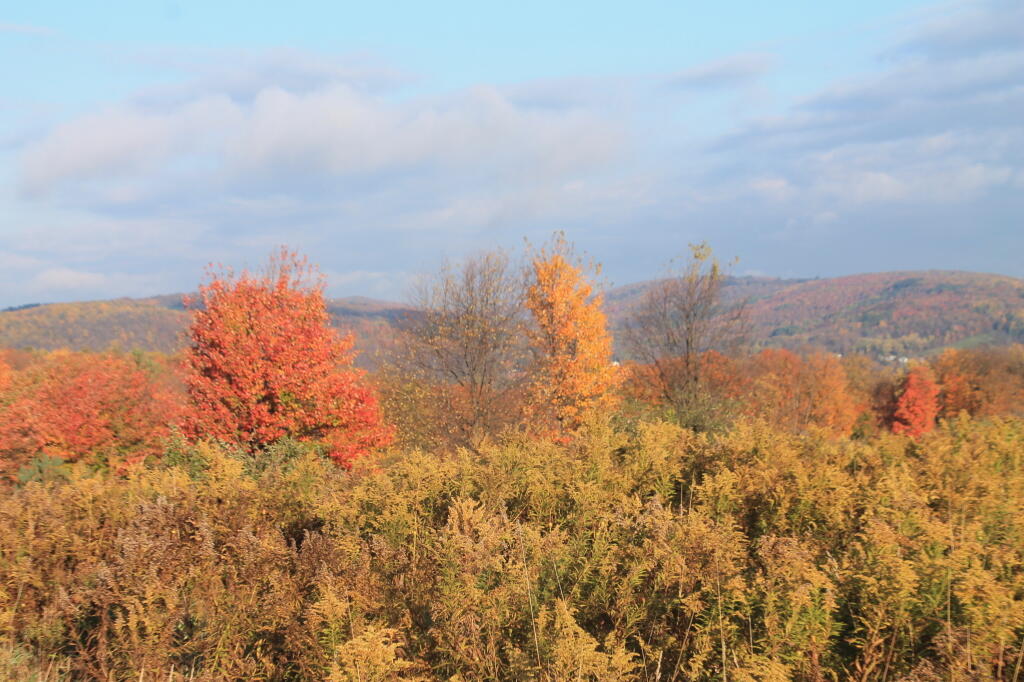 Photo: View off Smith Hill Road Photo: View off Smith Hill Road