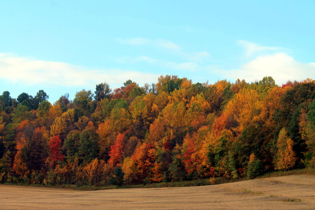 Photo: Farm Field At Enterance