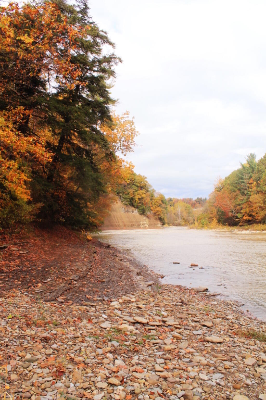 Photo: Further Up The River Photo: Further Up The River
