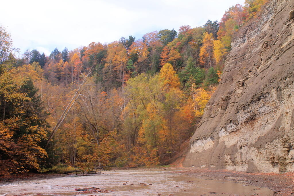 Photo: Hiking Up The Shallow But Beautiful South Branch