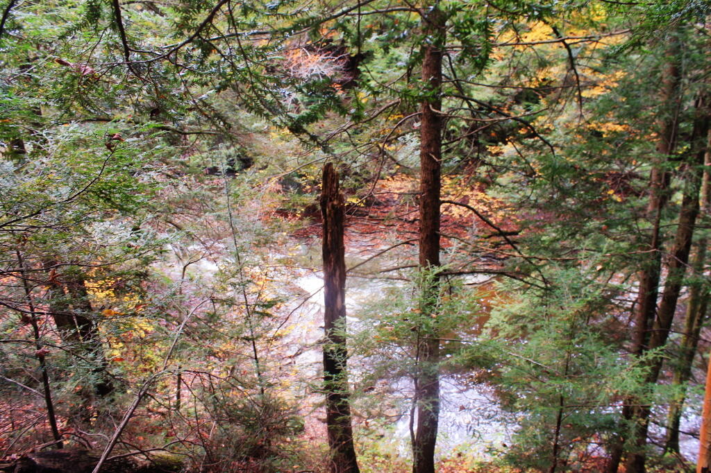 Photo: As Close As You Can Get To The Falls Photo: As Close As You Can Get To The Falls