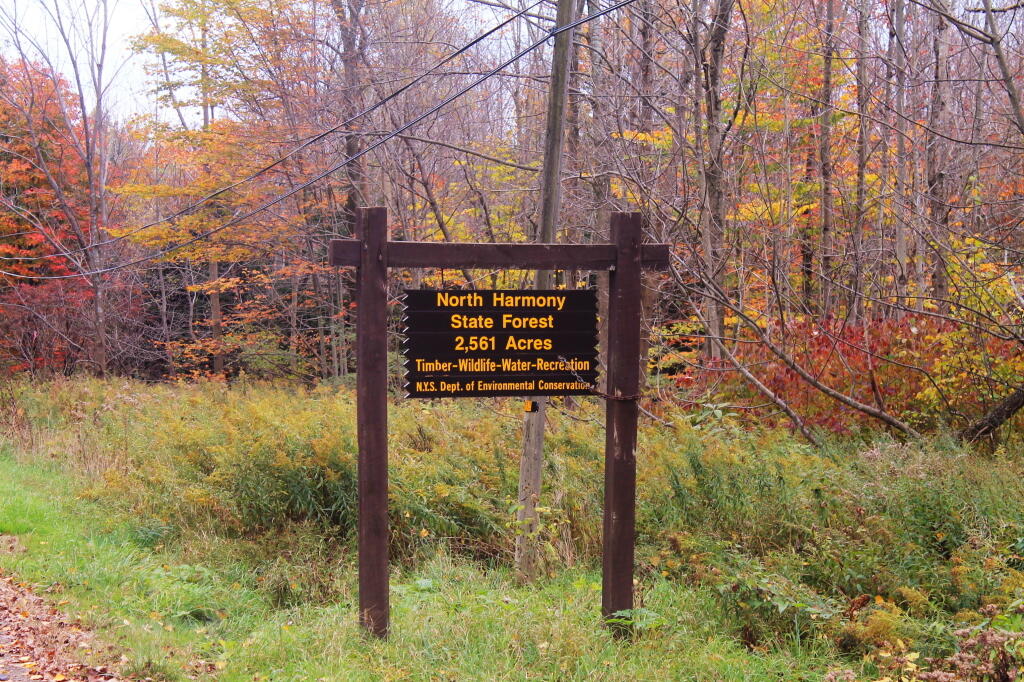 Photo: North Harmony State Forest Photo: North Harmony State Forest