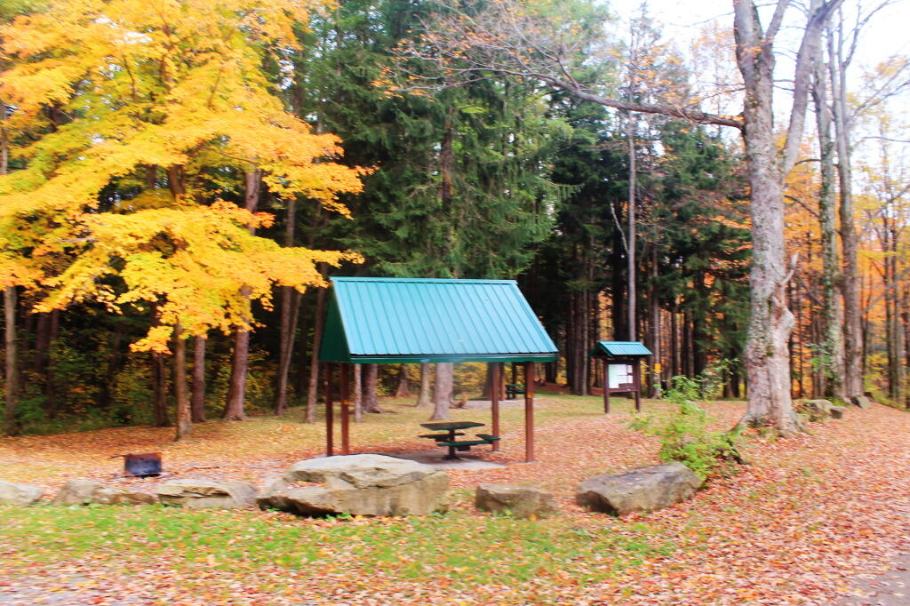 Photo: Picnic Pavlion Photo: Picnic Pavlion