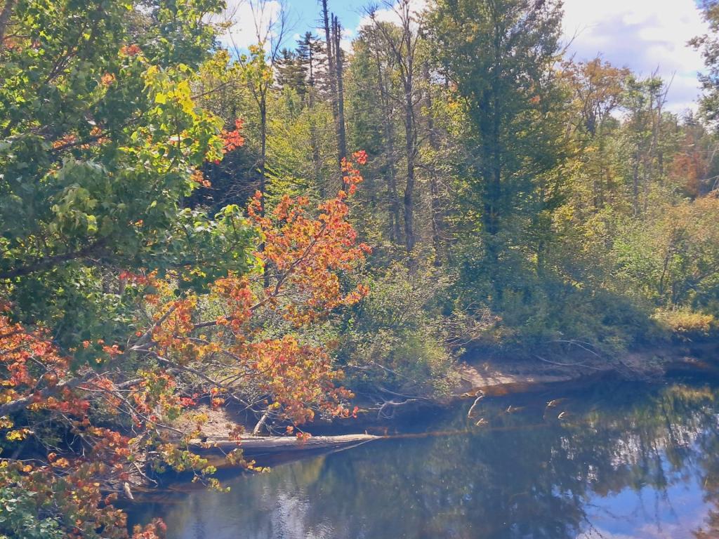 Photo: Untitled Photo: Untitled