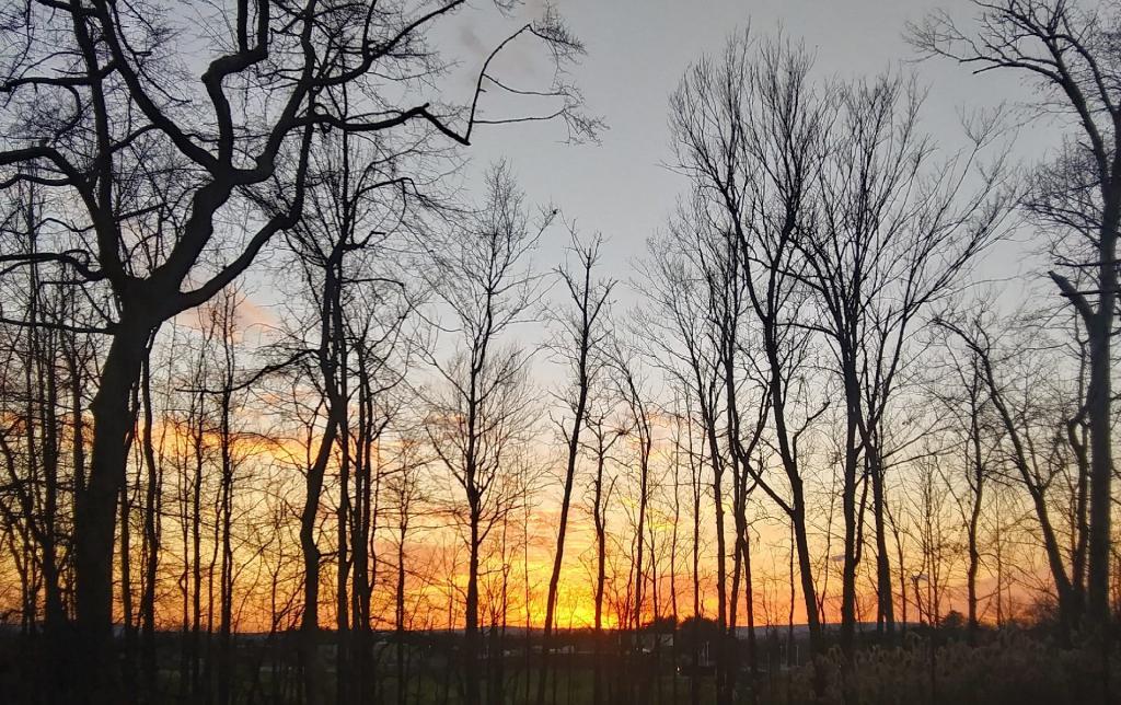 Photo: Being such a nice day, I decided to sit out back and watch the sun set Photo: Being such a nice day, I decided to sit out back and watch the sun set