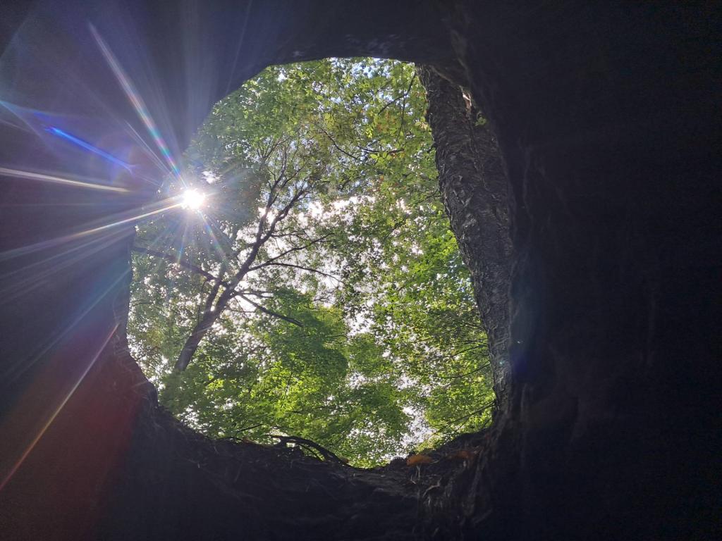 Photo: Untitled Photo: Untitled