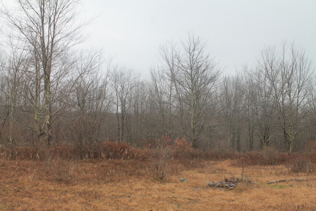 Photo: Huggins Lake Campsite