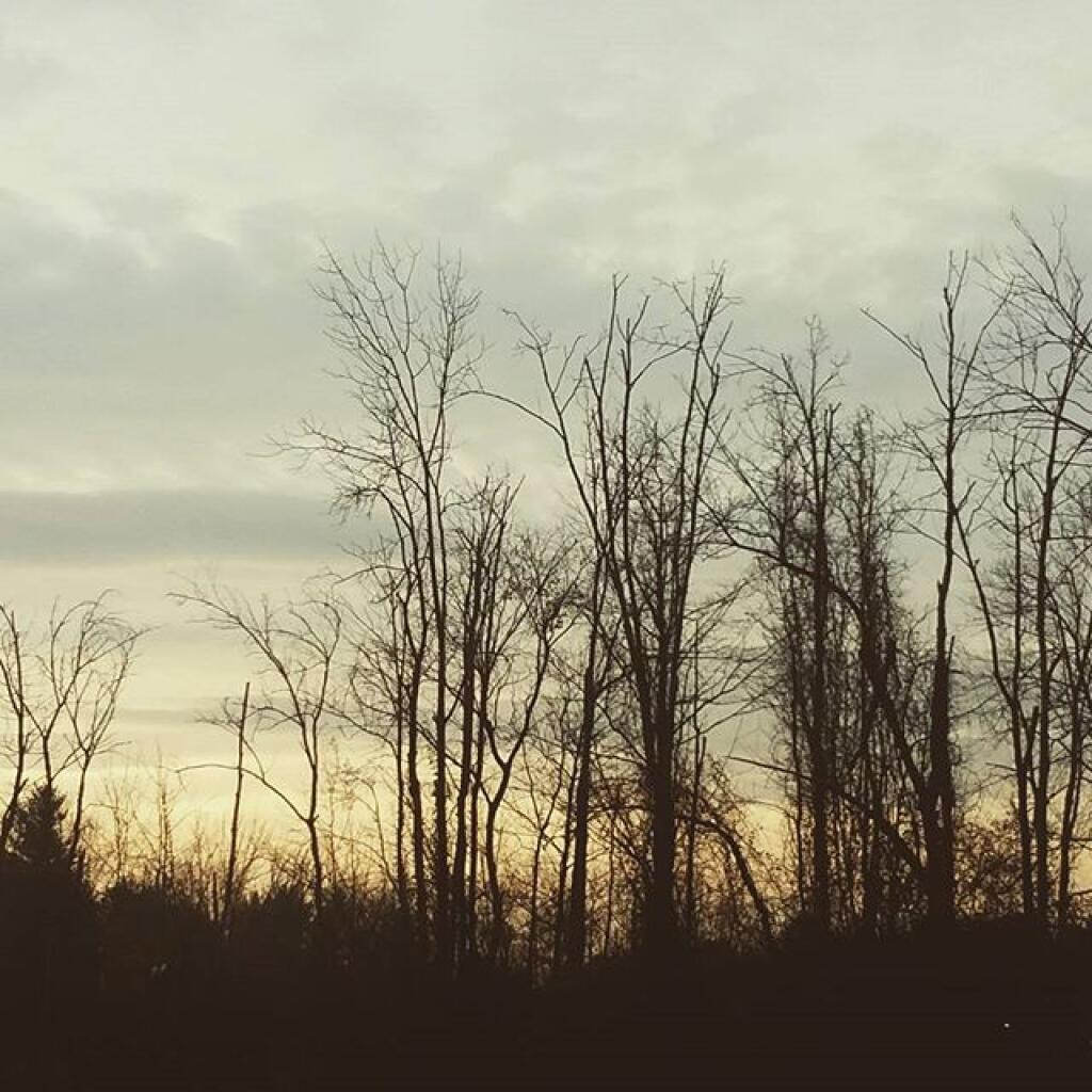 Photo: A November scene Photo: A November scene