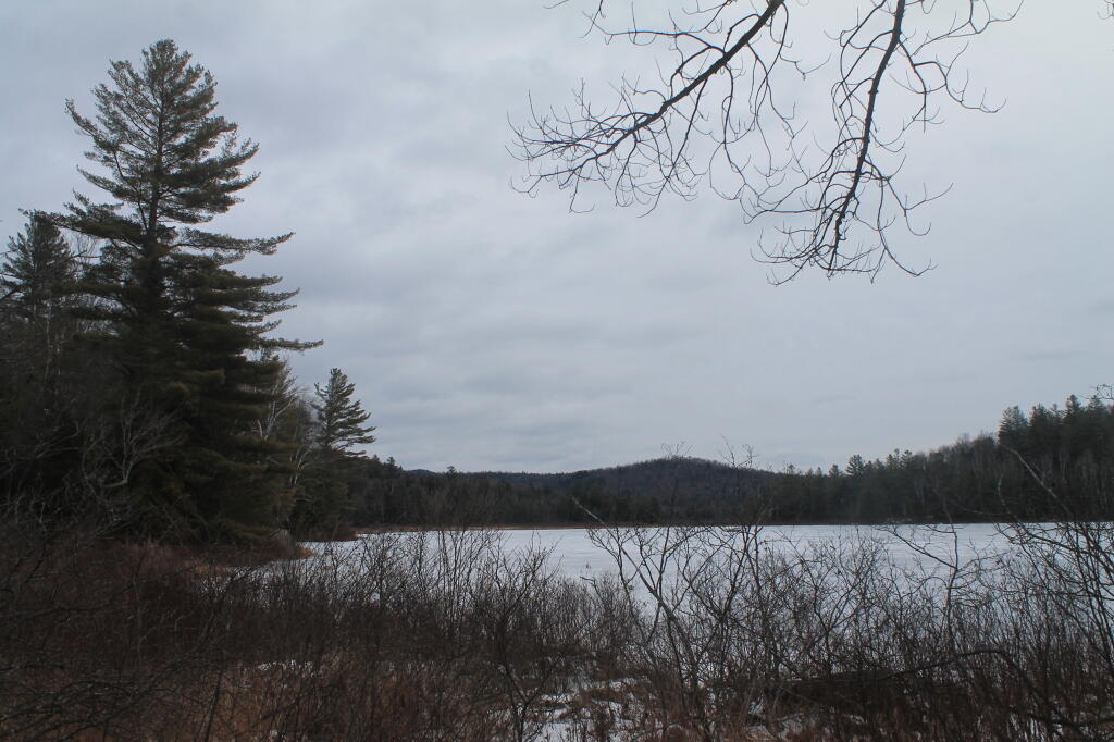 Photo: First View of Cod Pond Photo: First View of Cod Pond
