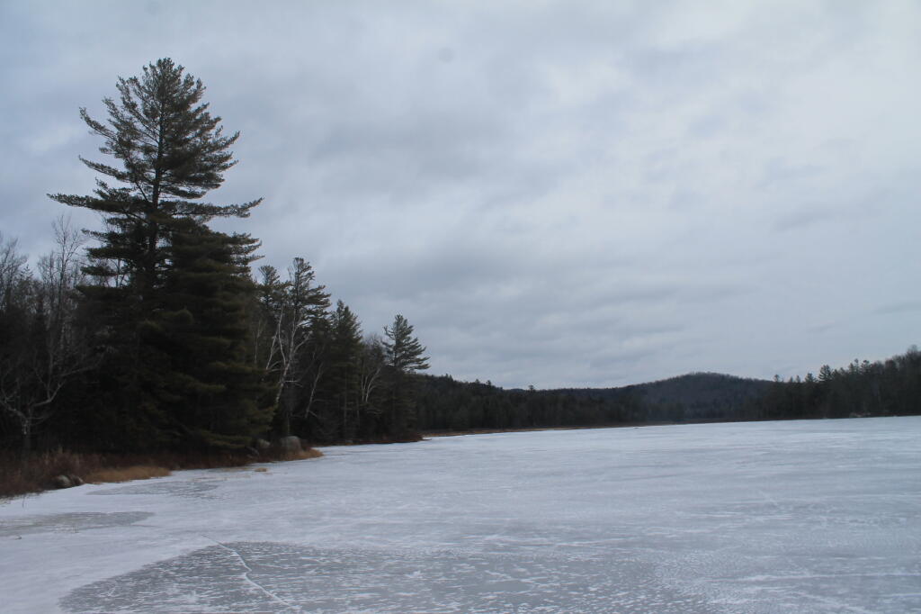 Photo: Cod Pond Photo: Cod Pond