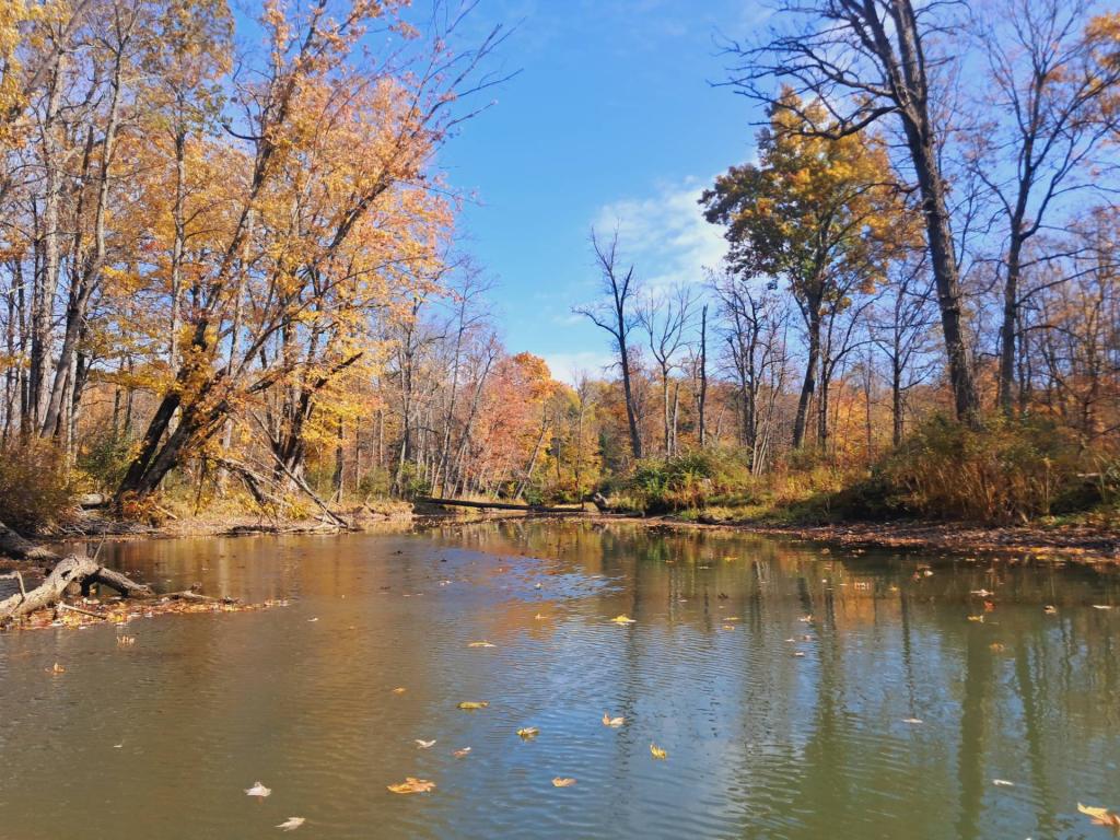Photo: Paddling Up the Shadow Brook Photo: Paddling Up the Shadow Brook