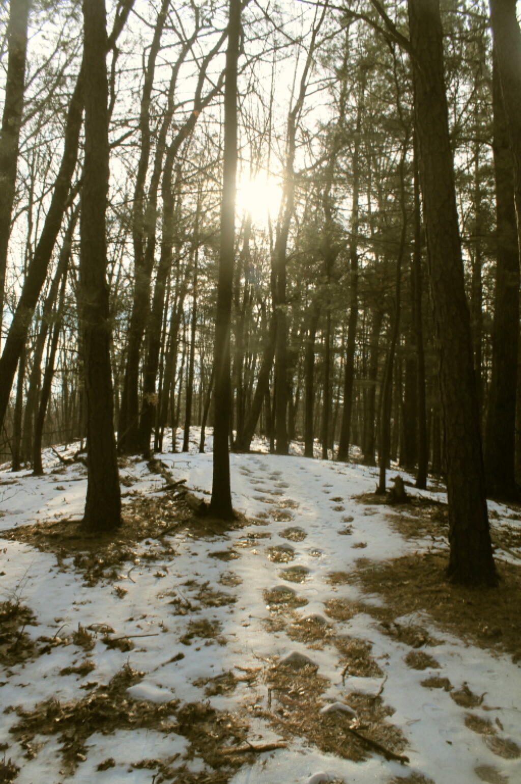 Photo: Sun is Low This Time of Year