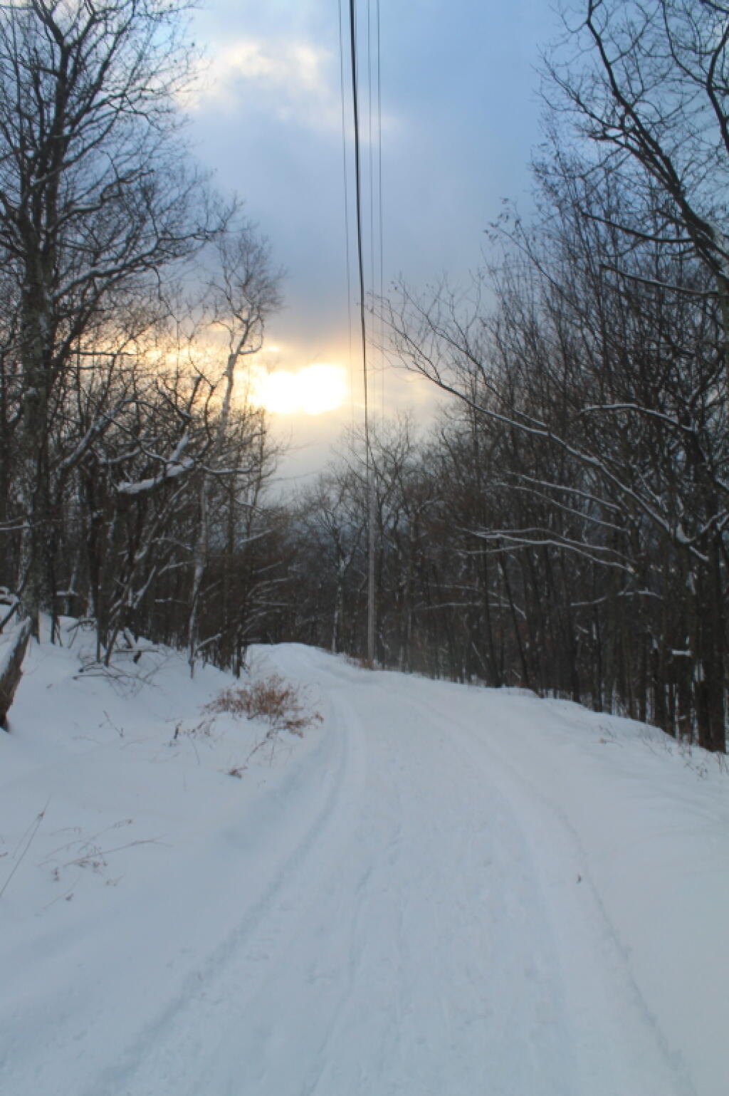 Photo: Sun Peaking Out