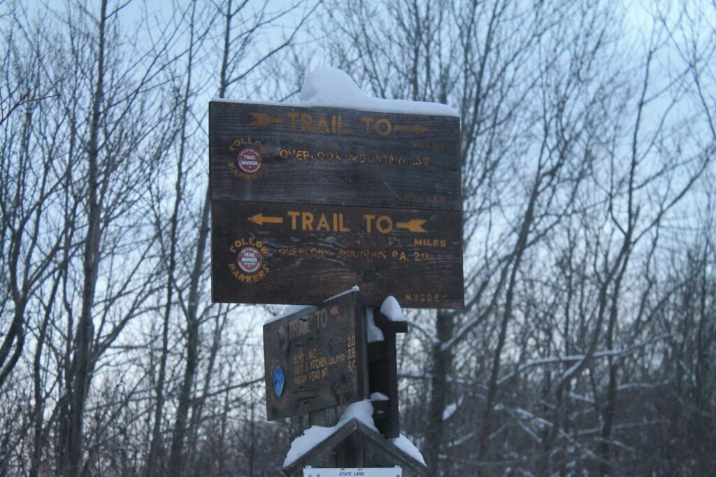 Photo: Snow Covered Sign