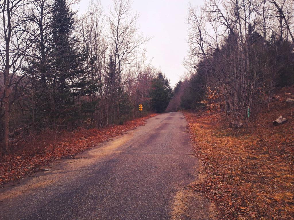 Photo: Old Route 8B on a Rainy Late April Day Photo: Old Route 8B on a Rainy Late April Day