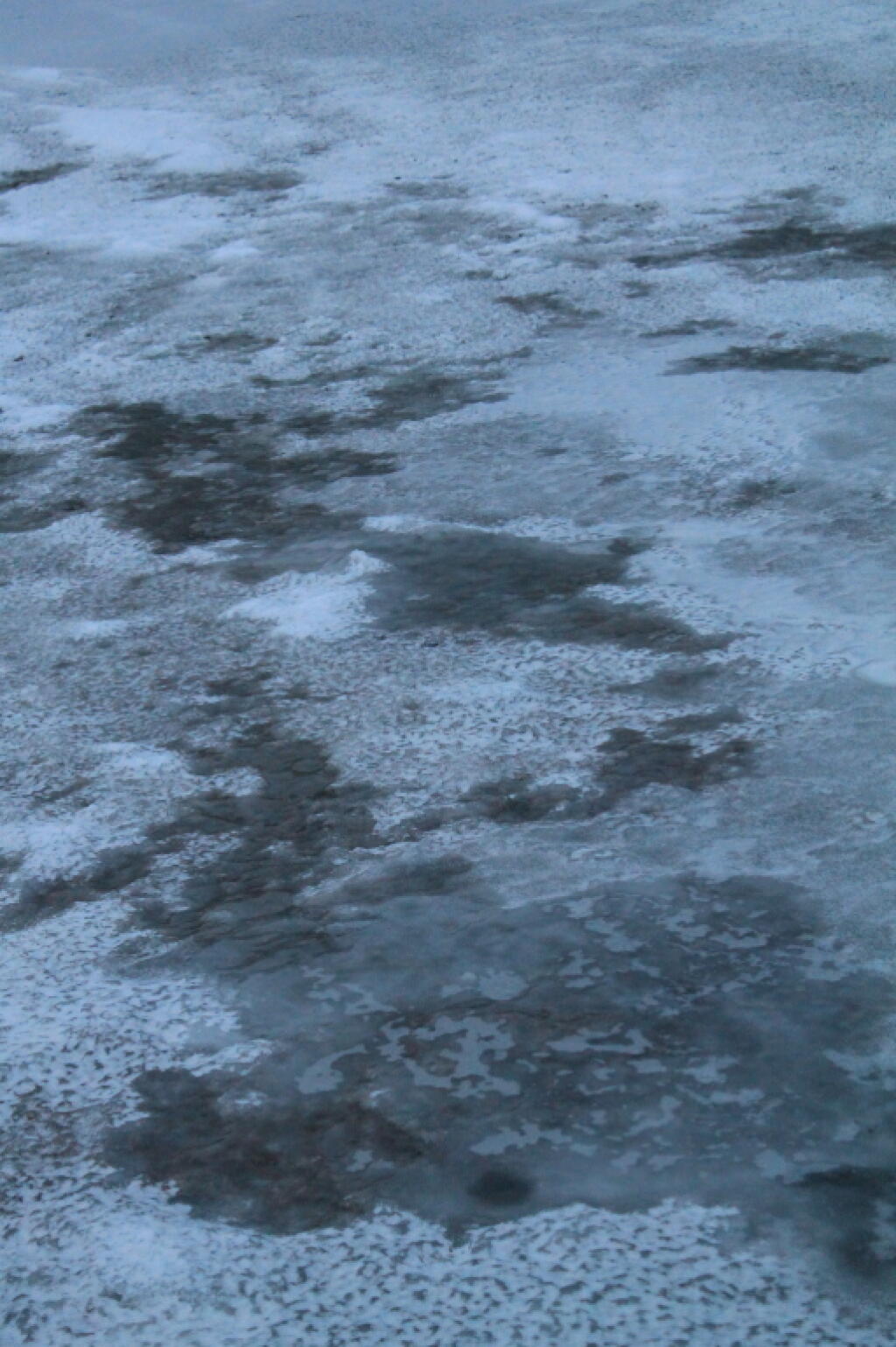 Photo: Ice Photo: Ice