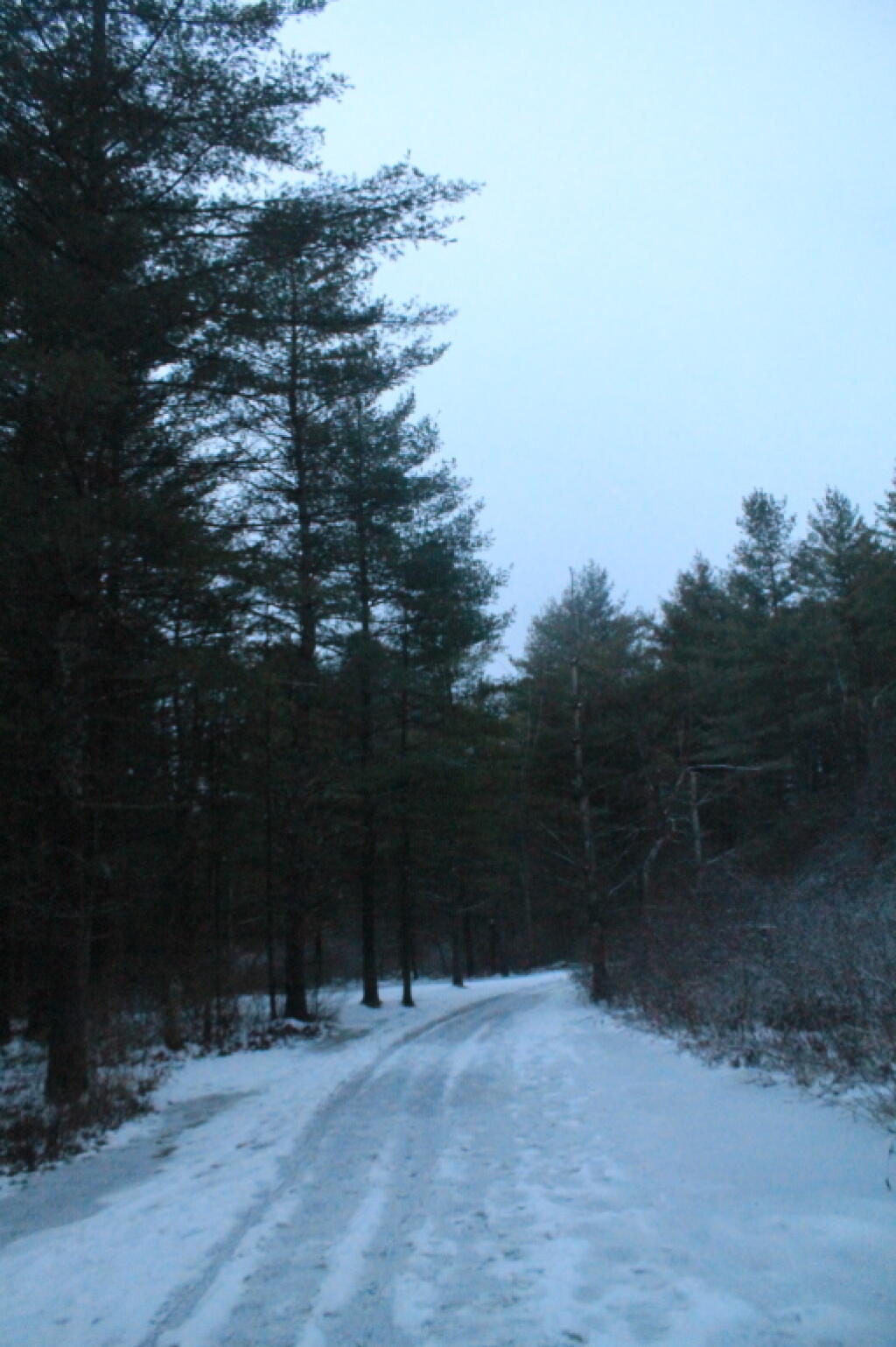 Photo: Phillipin Kill Trail Photo: Phillipin Kill Trail