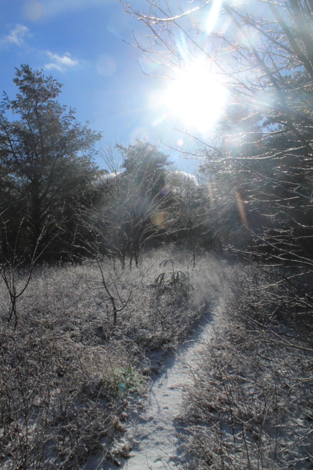 Photo: Ice Covered Summit