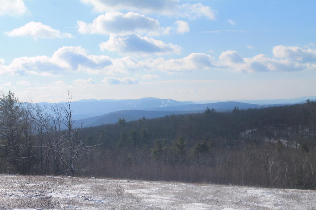 Photo: Brace Mountain Photo: Brace Mountain