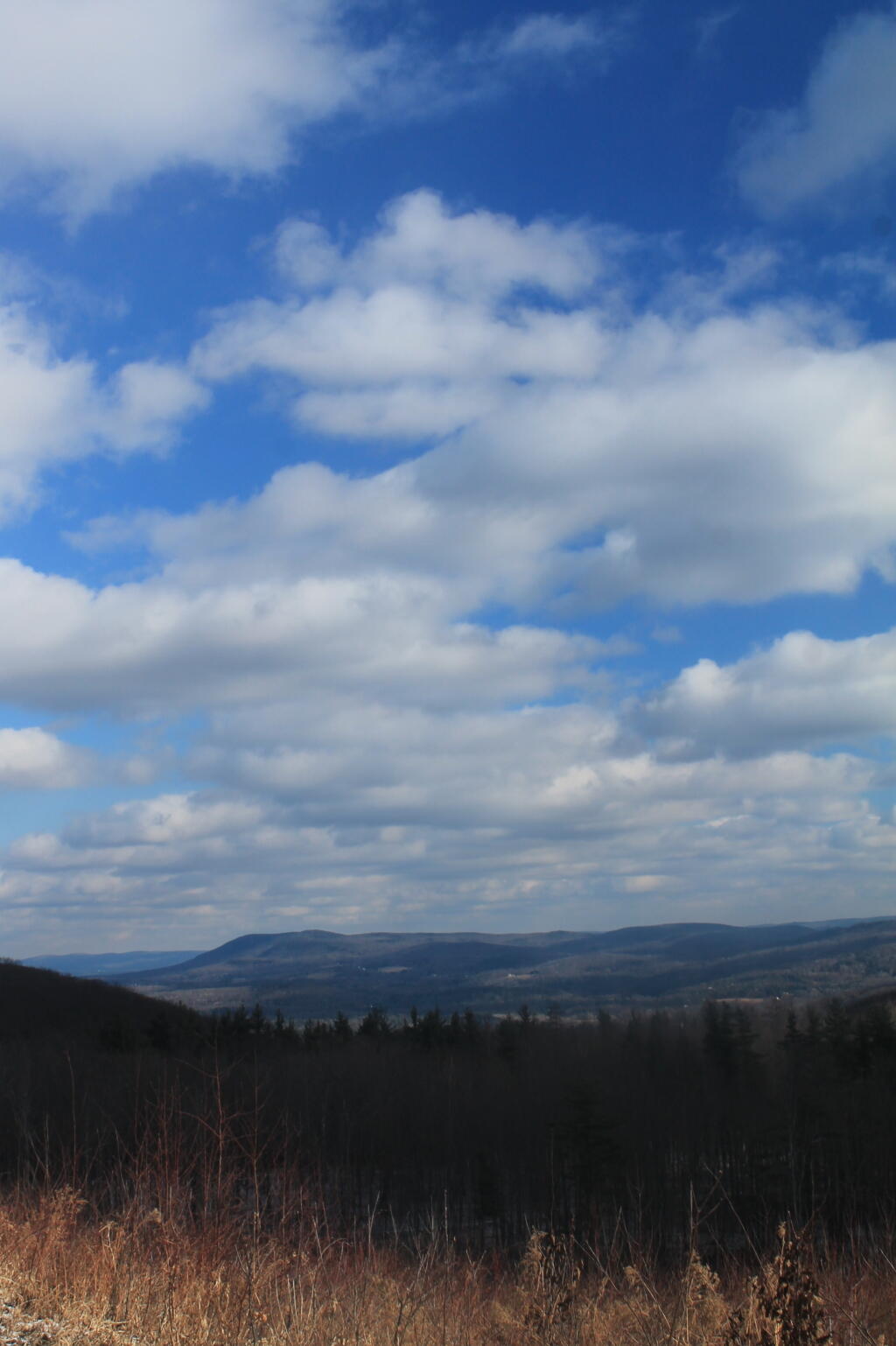 Photo: Looking Into West Stockbridge Valley Photo: Looking Into West Stockbridge Valley