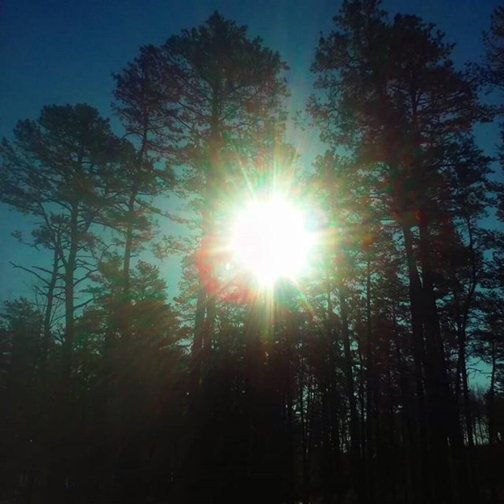 Photo: Sunny and cold