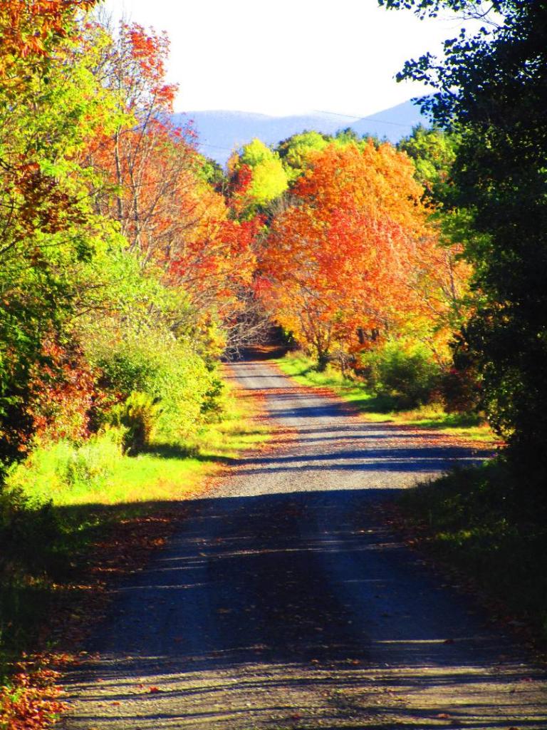 Photo: Scutt Road Photo: Scutt Road