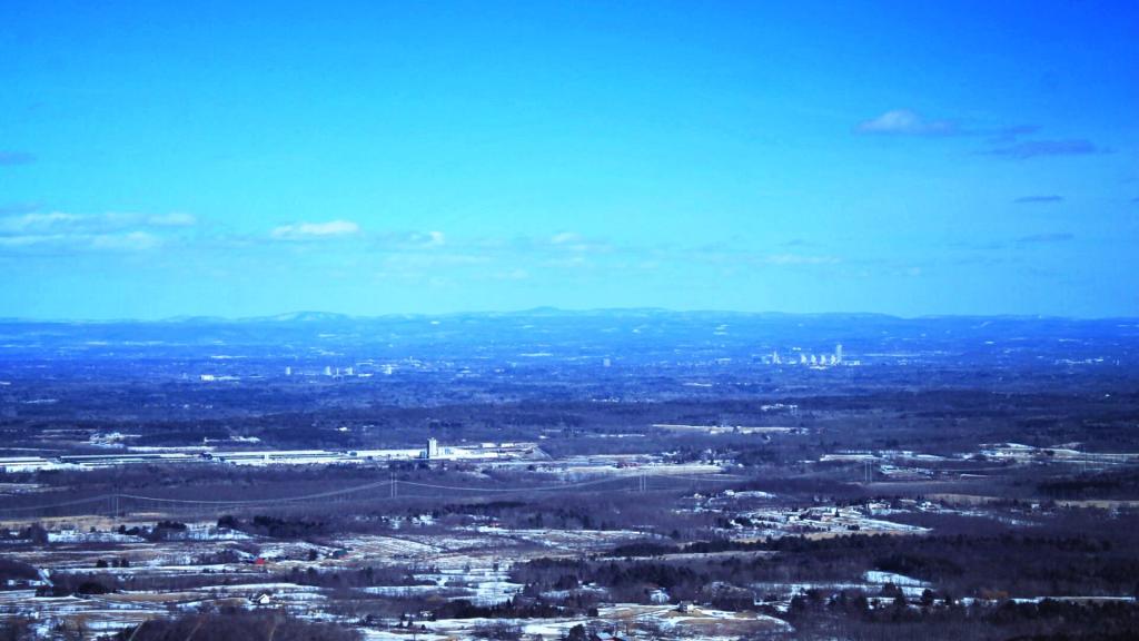 Photo: Albany Photo: Albany