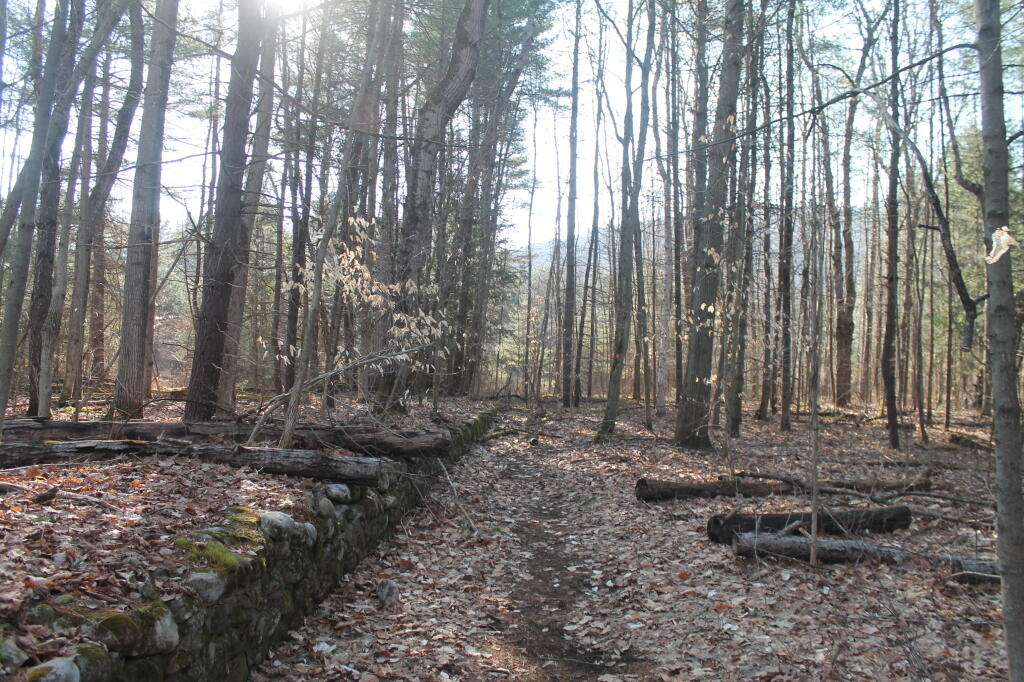 Photo: Interesting Old Foundation Along the Trail