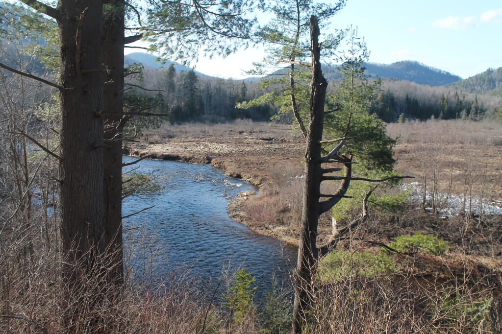 Photo: Million Dollar View into Simease Pond Wilderness