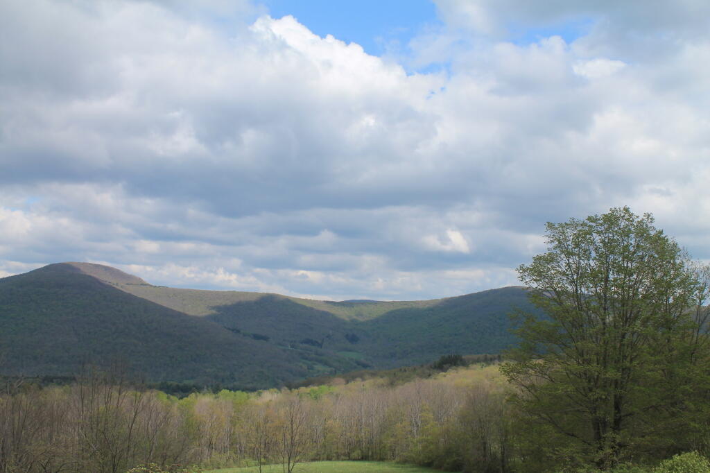 Photo: View from Gravesite Photo: View from Gravesite