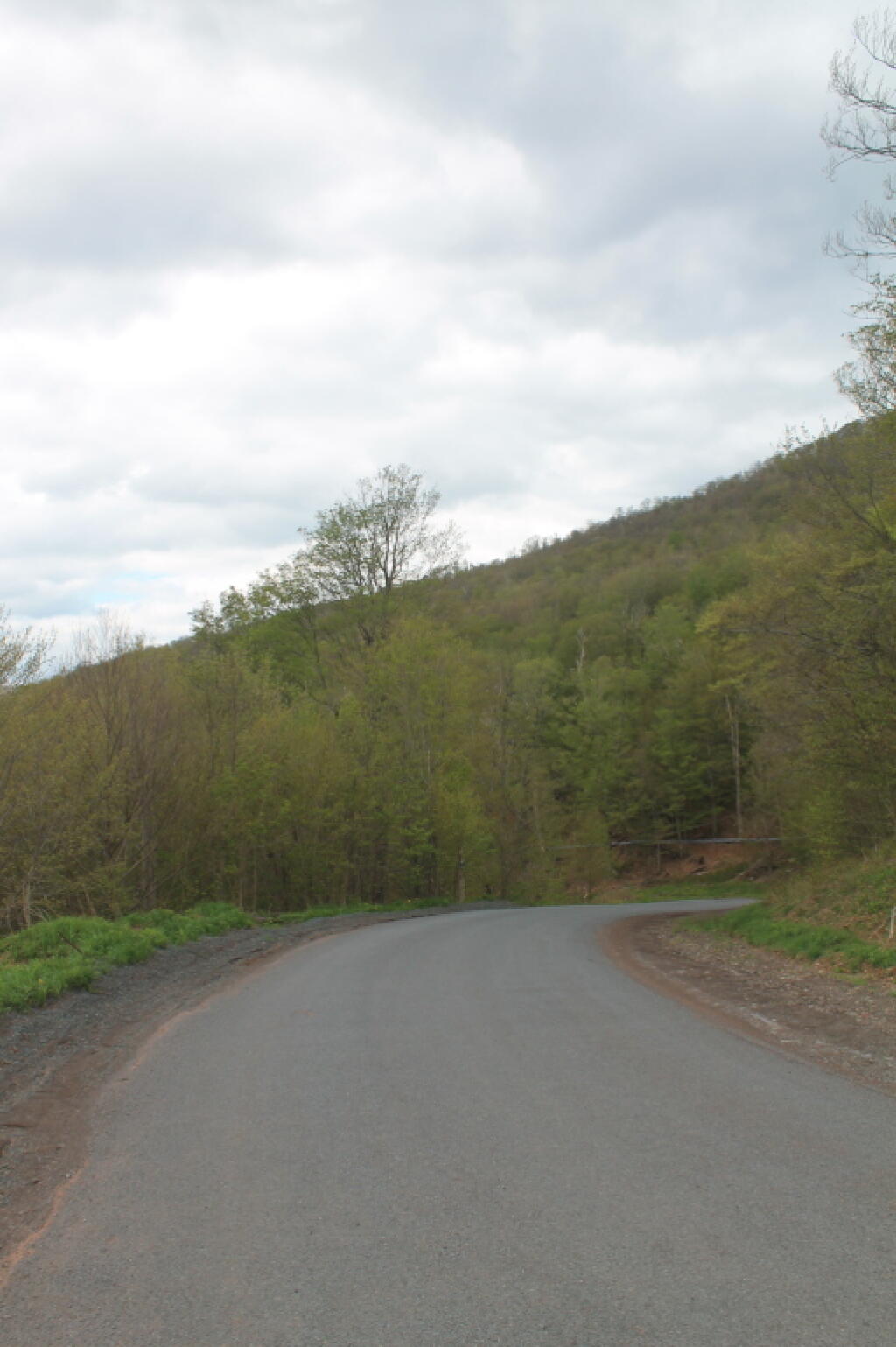Photo: Roxbury Mountain Road Photo: Roxbury Mountain Road