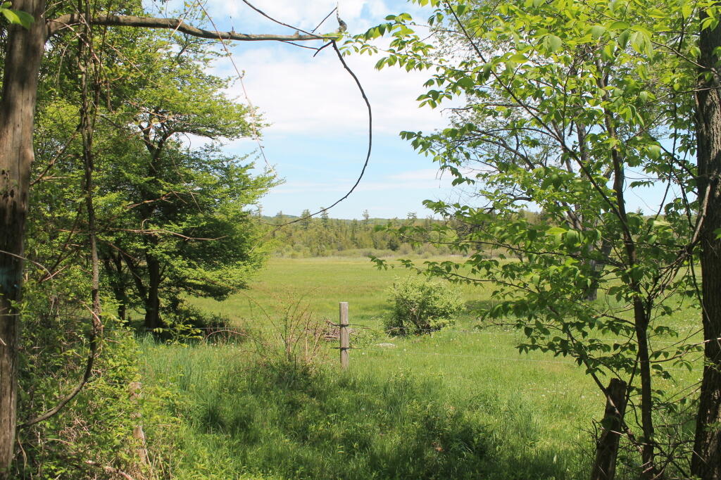 Photo: Field at the Edge of Link Trail