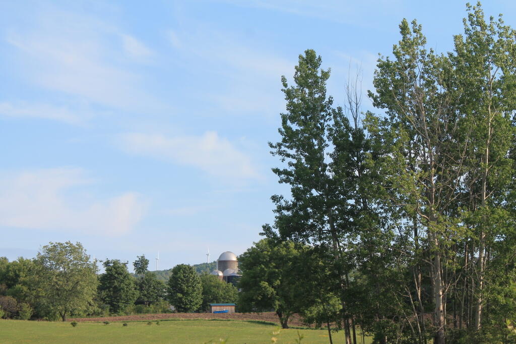 Photo: Farms Along Nelson Road and Trailway Photo: Farms Along Nelson Road and Trailway