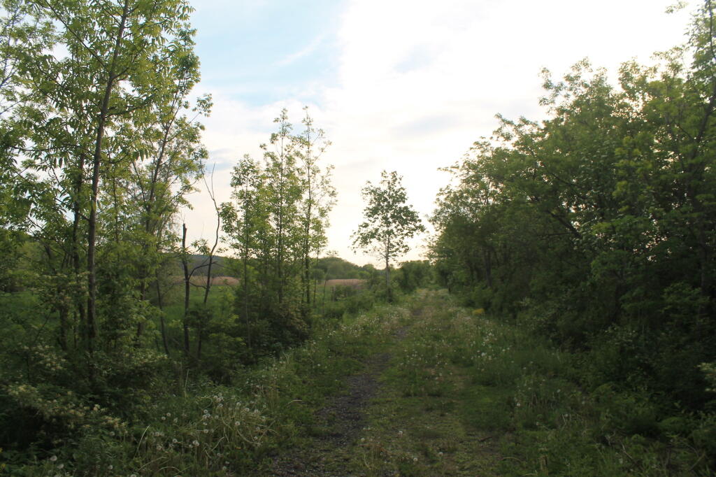 Photo: Trail Runs Between Farm Fields Photo: Trail Runs Between Farm Fields