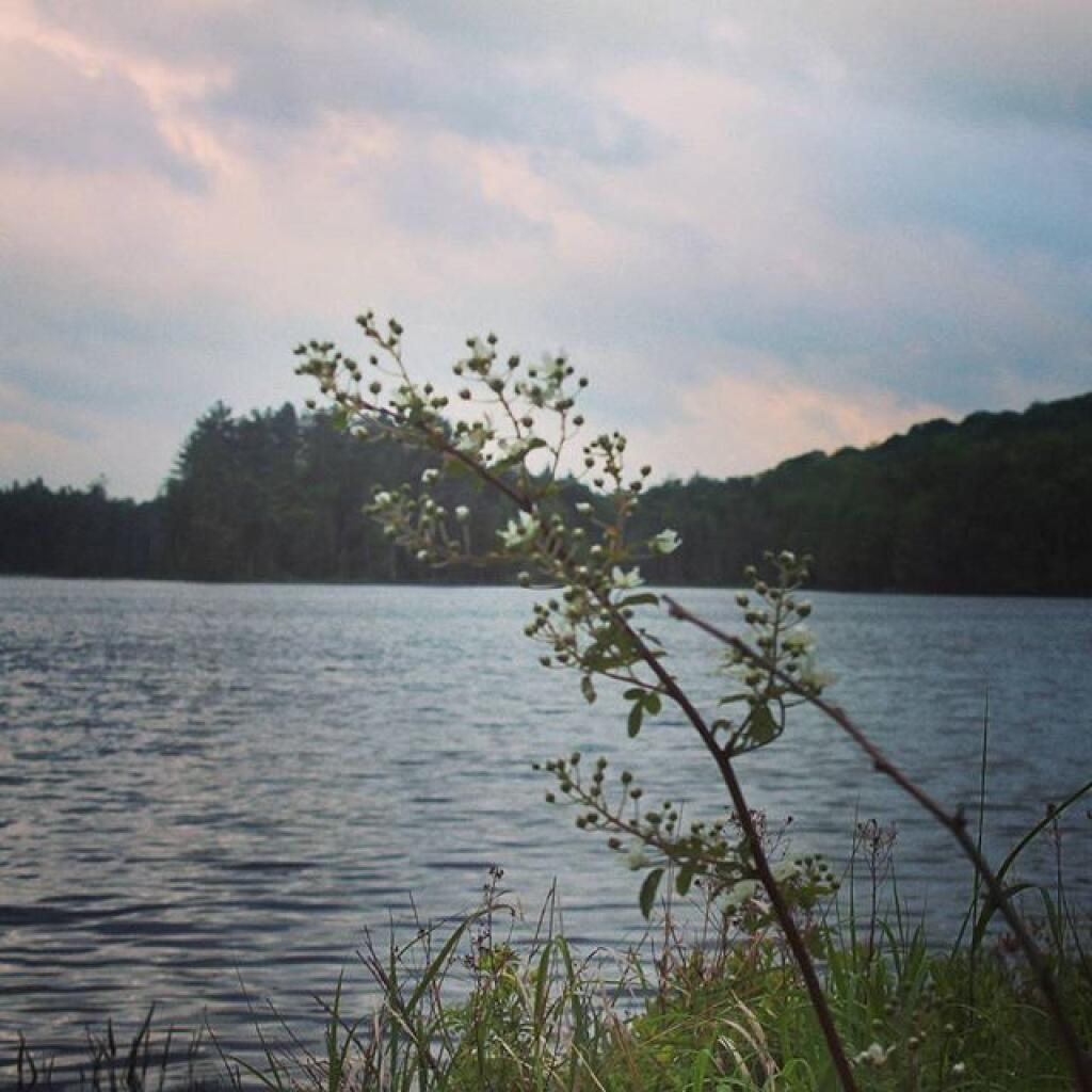 Photo: Mason Lake