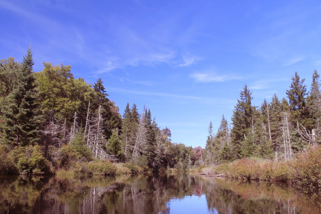 Photo: Scenic Creek