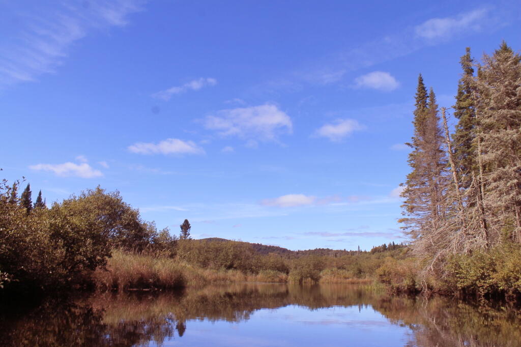 Photo: Powley Place