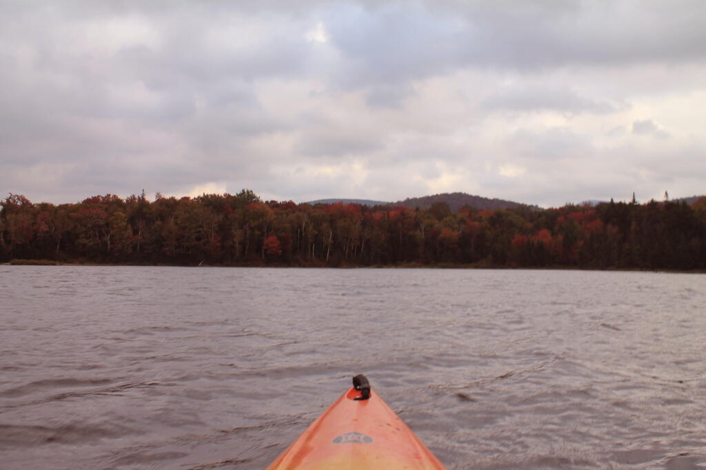 Photo: Across The Flow