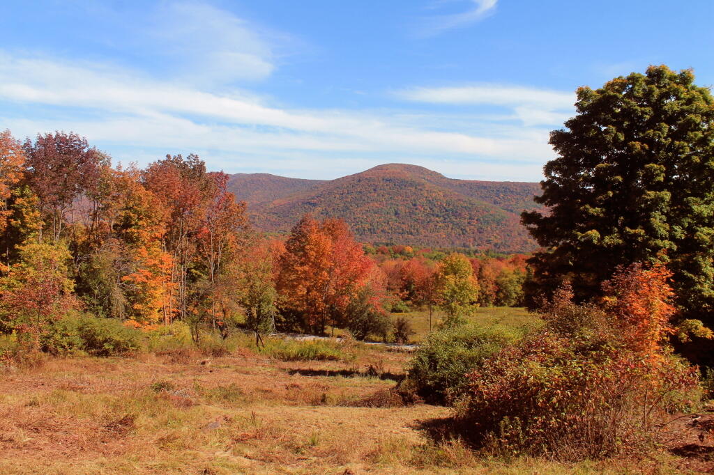 Photo: View From Burroughs Grave Site